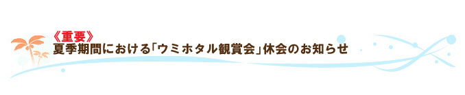 「ウミホタル鑑賞会」一時休会のお知らせ