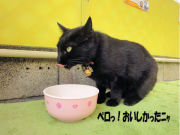 クロコのランチ④