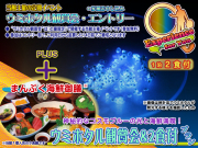 ウミホタル観賞会プラン