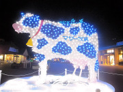 きらきらな牛さん