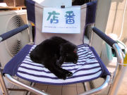 ガチで店番？①