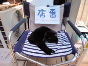 ガチで店番？③