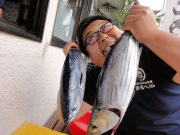 どっちがスマなの？