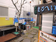 雪がふる20150209