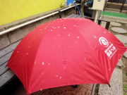 雪待ちしてみる