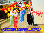 黒子とこいのぼり　2013こどもの日