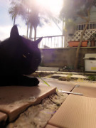 とっても眠いの とっても眠いの