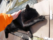 マッサージ大好き マッサージ大好き