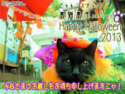 黒子とハロウィン2013