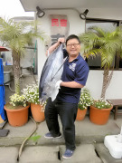 ビンチョウマグロ様