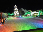 キラキラスケートリンク