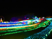 東京ドイツ村イルミ2013