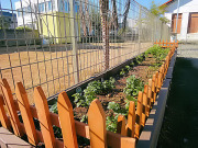 【まるへいハーブ畑】その②