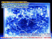 ウミホタルが発光する様子