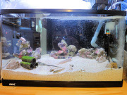 まるへい水族館