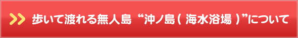 歩いて渡れる無人島　沖ノ島(海水浴場)について