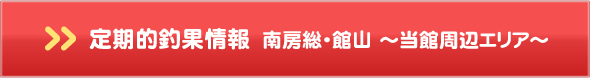 定期的釣果情報　南房総・館山～当館周辺エリア～