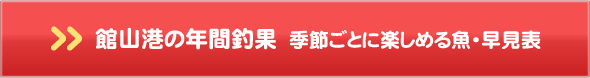 館山港の年間釣果　季節ごとに楽しめる魚・早見表