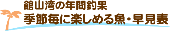 館山湾の年間釣果　季節毎に楽しめる魚・早見表