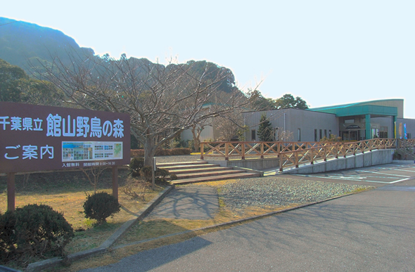 千葉県立館山野鳥の森