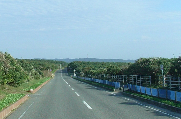 房総フラワーライン