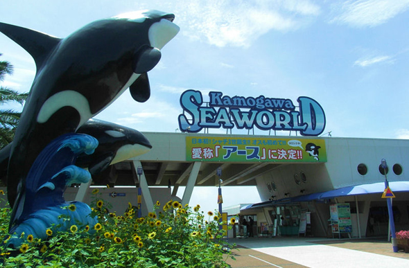 鴨川シーワールド