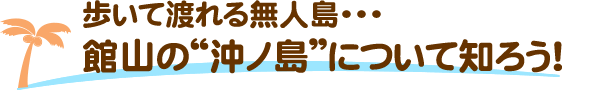 歩いて渡れる無人島…　館山の沖ノ島について知ろう！